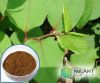 Resveratrol 501-36-0 Giant Knotweed extract