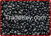 Sell Black Kidney Beans