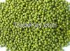 Mung Beans