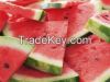 Fresh Water Melons