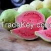 Fresh Guava