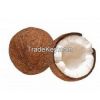 coconuts