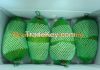 Vietnam 2014 Fresh Soursop Fruit / High Quality