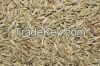 Cumin Seeds