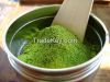 Matcha Powder for sale