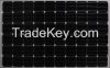 Monocrystalline Solar Module