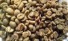 Robusta Coffee beans