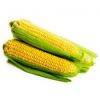 Sell Yellow Corn