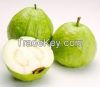 Asian Guava