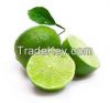 Limes