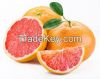 Grapefruit