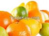 Fresh Citrus Fruit