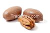 Pecan Nuts