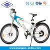 250w mountain electric bike with CE&EN15194(HP-E008)