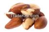 Brazil nut