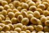 Soybeans