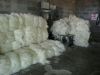 100% Natural Sisal Fiber with Free Samples