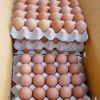 Farm Fresh Chicken Table Eggs