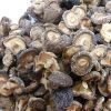 Dried Mushrooms _DRIED MUSHROOMS