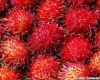 Fresh Rambutan