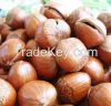 Sell Hazelnut