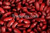 We Sell Quality Kidney beans, Black beans, Lentils, Chickpeas, Mung beans, Soybeans