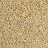 Suppliers QUINOA SEED Top quality-Red and White Quinoa Seed