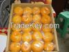 Suppliers Of Fresh Mandarin Orange Citrus Fruit