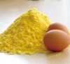 Best Egg Yolk Powder