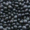 Black Matpe Whole Black Matpe Black Matpe Beans Split Matpe Split Matpe