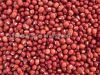 Red sorghum