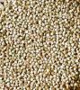 High Quality Buckwheat