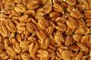 Pecan nuts for sale