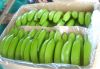 Green Bananas, Fresh Bananas, Cavendish Bananas high quality from S.A