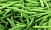 High Quality Green beans, Green peas, Green & Red Chilli