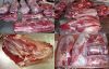 Halal Frozen Beef / Buffalo Meat And Offals ready for supply