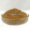 Angelica Root  Extract