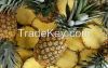 Fresh Pineapples