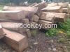 Sell Kosso Wood