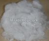 7d X 64mm Hollow Conjugated Silicon Polyester Staple Fiber