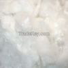 Polyester Staple Fiber