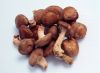 Sell Dired Shiitake Mushrooms