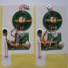 Sound Module, Recordable module, voice module