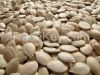 High Quality Shine Skin Pumpkin Seed