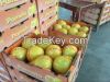 Fresh pomelos