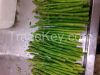 Frozen asparagus