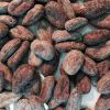 RAW COCOA BEANS