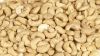 Cashew nuts