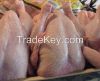 PROCESSED HALAL FROZEN CHICKEN QUARTER LEGS/ WHOLE CHICKEN/GRADE A CHICKEN