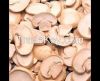 dry mushroom for sale